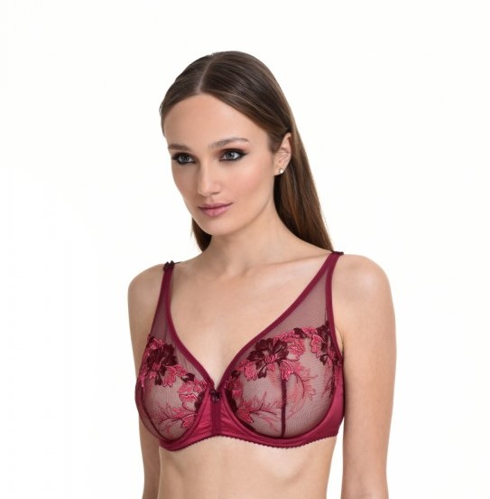 evalingerie.gr-miss_rosy-wired-bra-157-3
