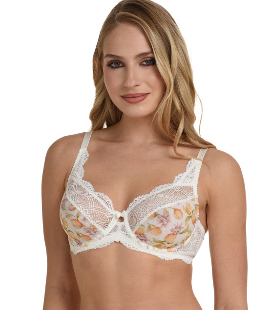 Bra 233 , Brasil 11202-