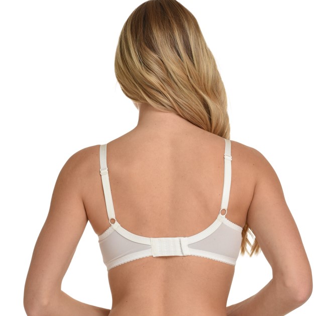Bra 233 , Brasil 11202 back-