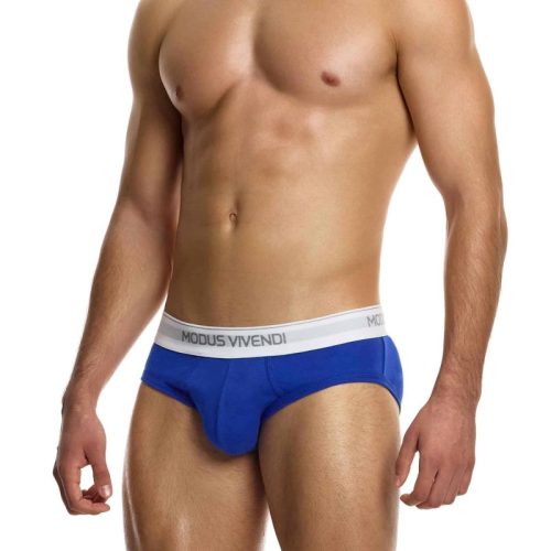 Modus Vivendi Ανδρικά Σλιπ Staple 3-Pack Brief 12411-1 Multi