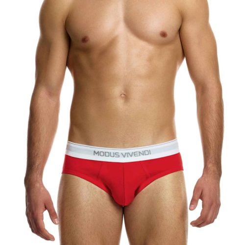 Modus Vivendi Ανδρικά Σλιπ Staple 3-Pack Brief 12411-1 Multi