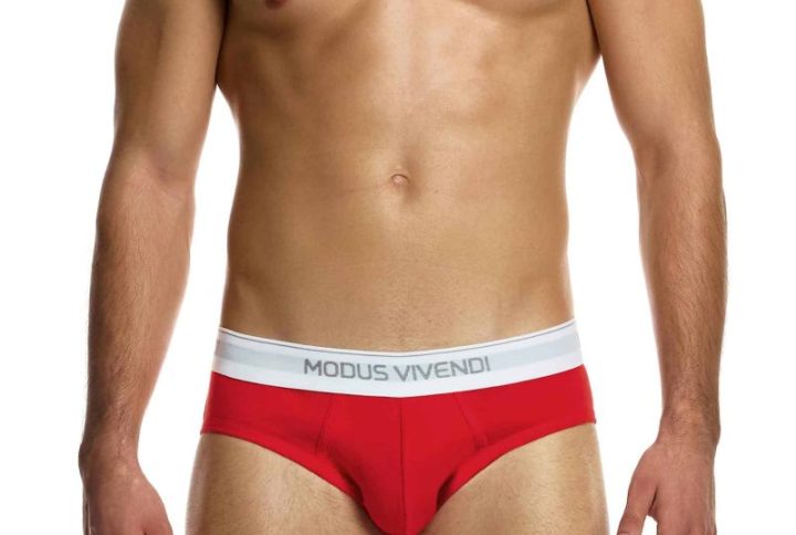 Modus Vivendi Ανδρικά Σλιπ Staple 3-Pack Brief 12411-1 Multi