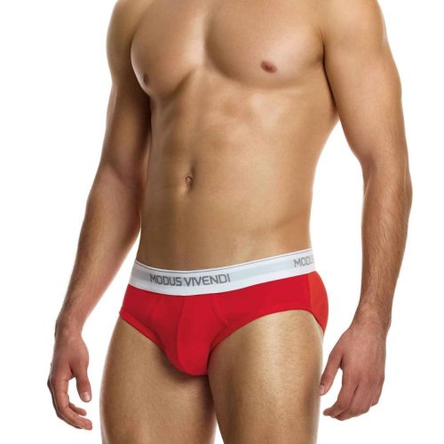 Modus Vivendi Ανδρικά Σλιπ Staple 3-Pack Brief 12411-1 Multi