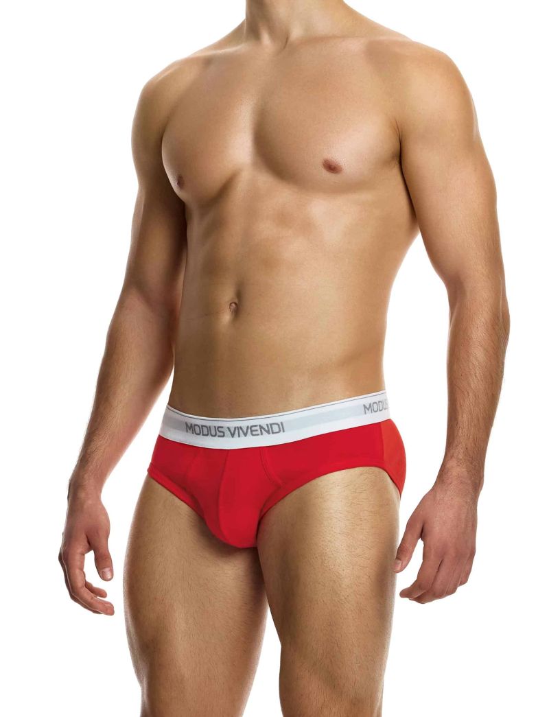 12411_red_staple_brief_modus_vivendi_underwear__2__1g90-dd.jpg