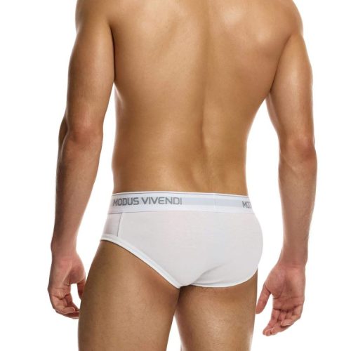 Modus Vivendi Ανδρικά Σλιπ Staple 3-Pack Brief 12411-1 Multi-Classic