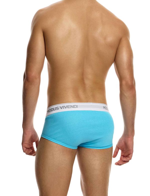 12412_aqua_staple_fly_brief_modus_vivendi_underwear__3__ax8w-00.jpg