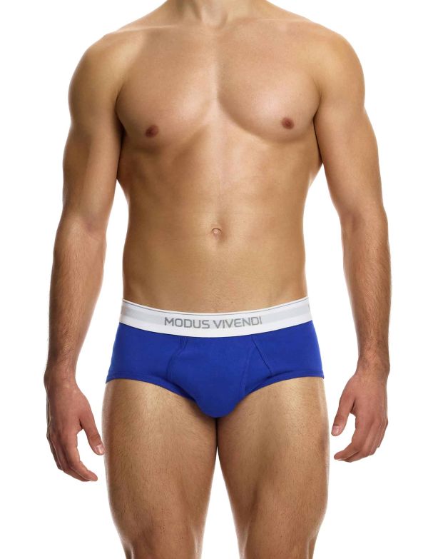 12412_blue_staple_fly_brief_modus_vivendi_underwear__1__p95i-ta.jpg