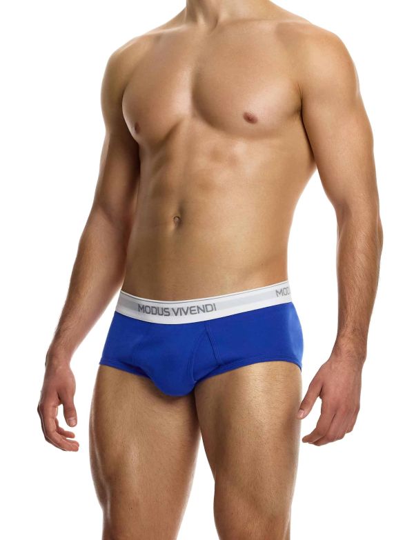12412_blue_staple_fly_brief_modus_vivendi_underwear__2__37ia-co.jpg