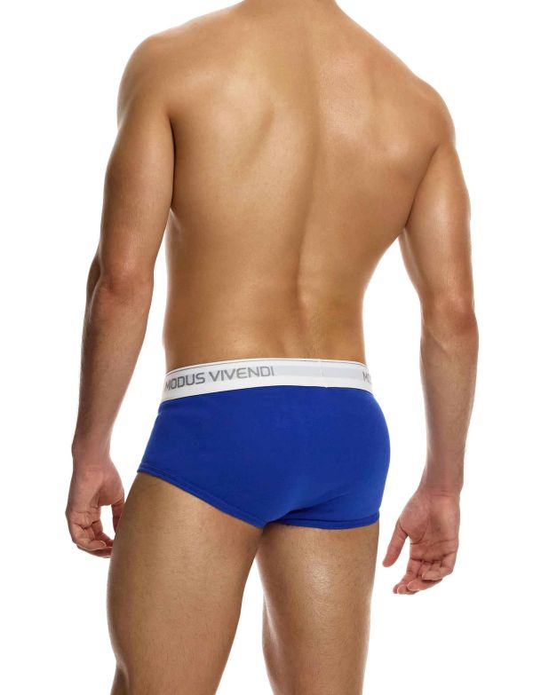 12412_blue_staple_fly_brief_modus_vivendi_underwear__3__psuw-kg.jpg