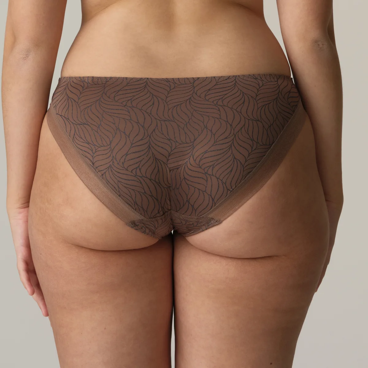eservices_primadonna_twist-lingerie-briefs-ajusco-0542400-brown-3_3585535
