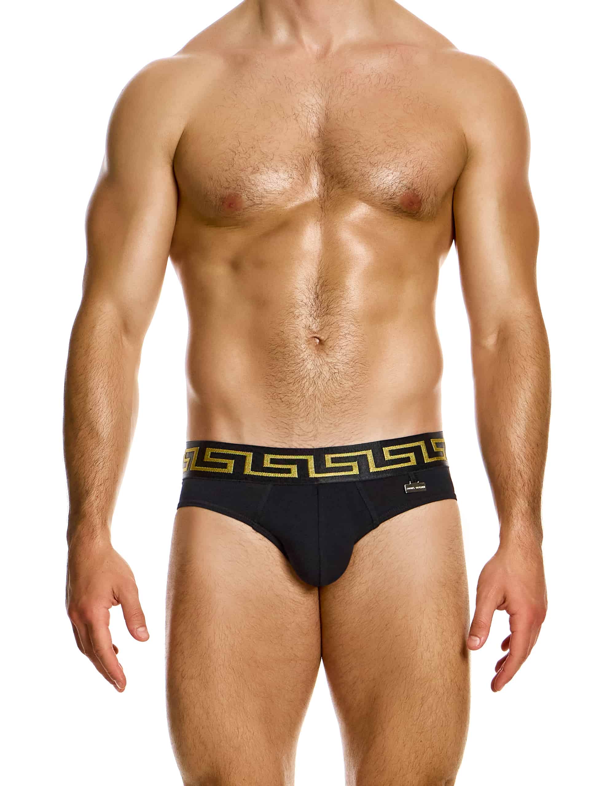 11613_black_meander_classic_brief_modus_vivendi_underwear__1_
