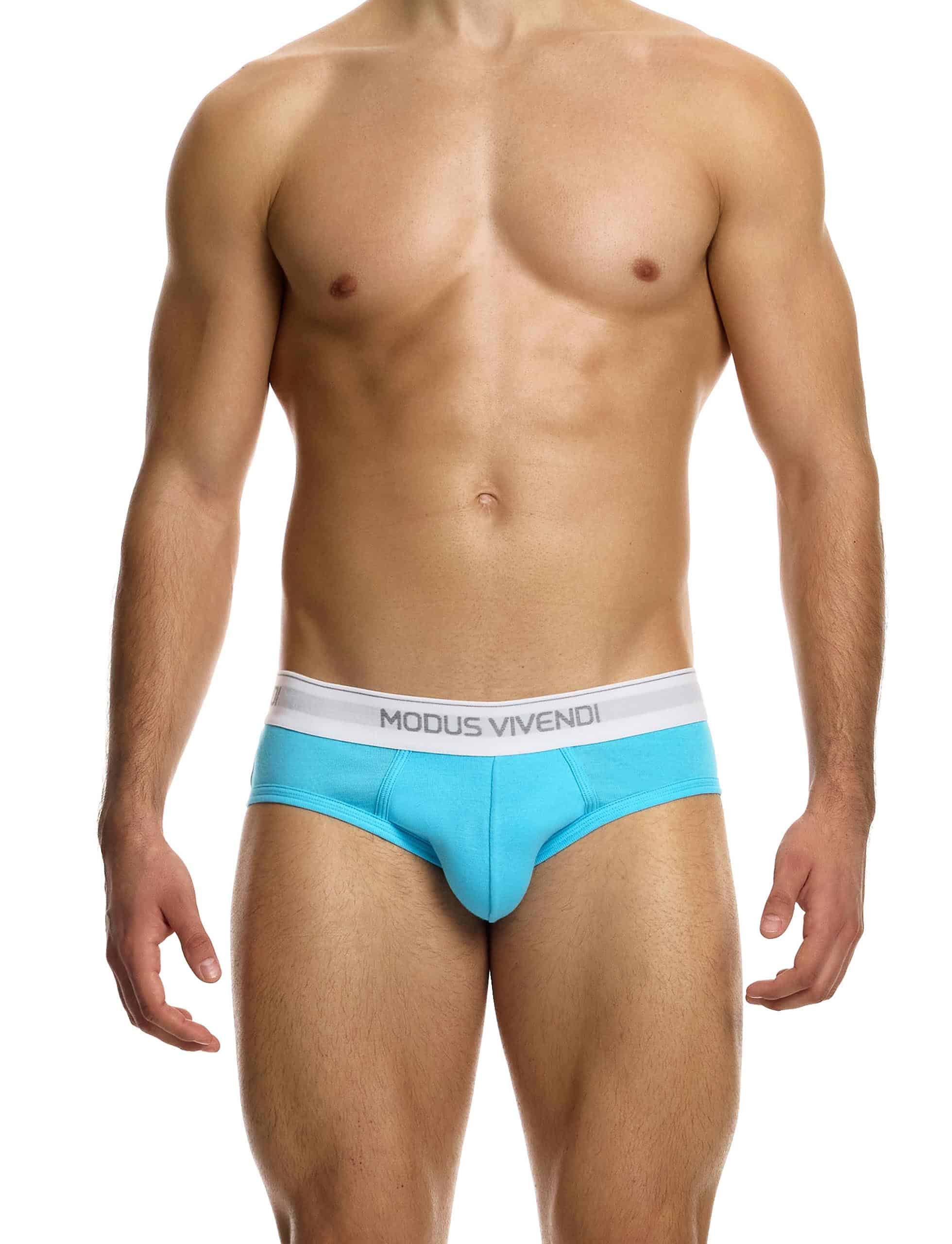 12411_aqua_staple_brief_modus_vivendi_underwear__1_
