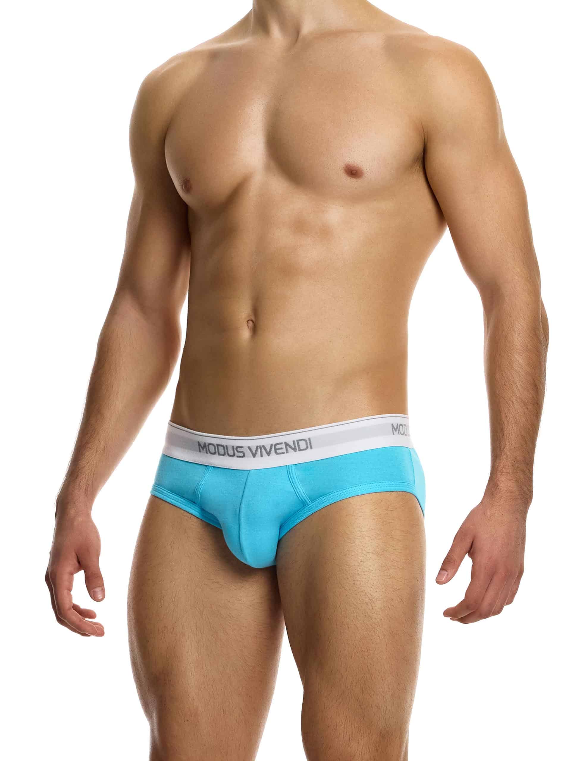 12411_aqua_staple_brief_modus_vivendi_underwear__2_