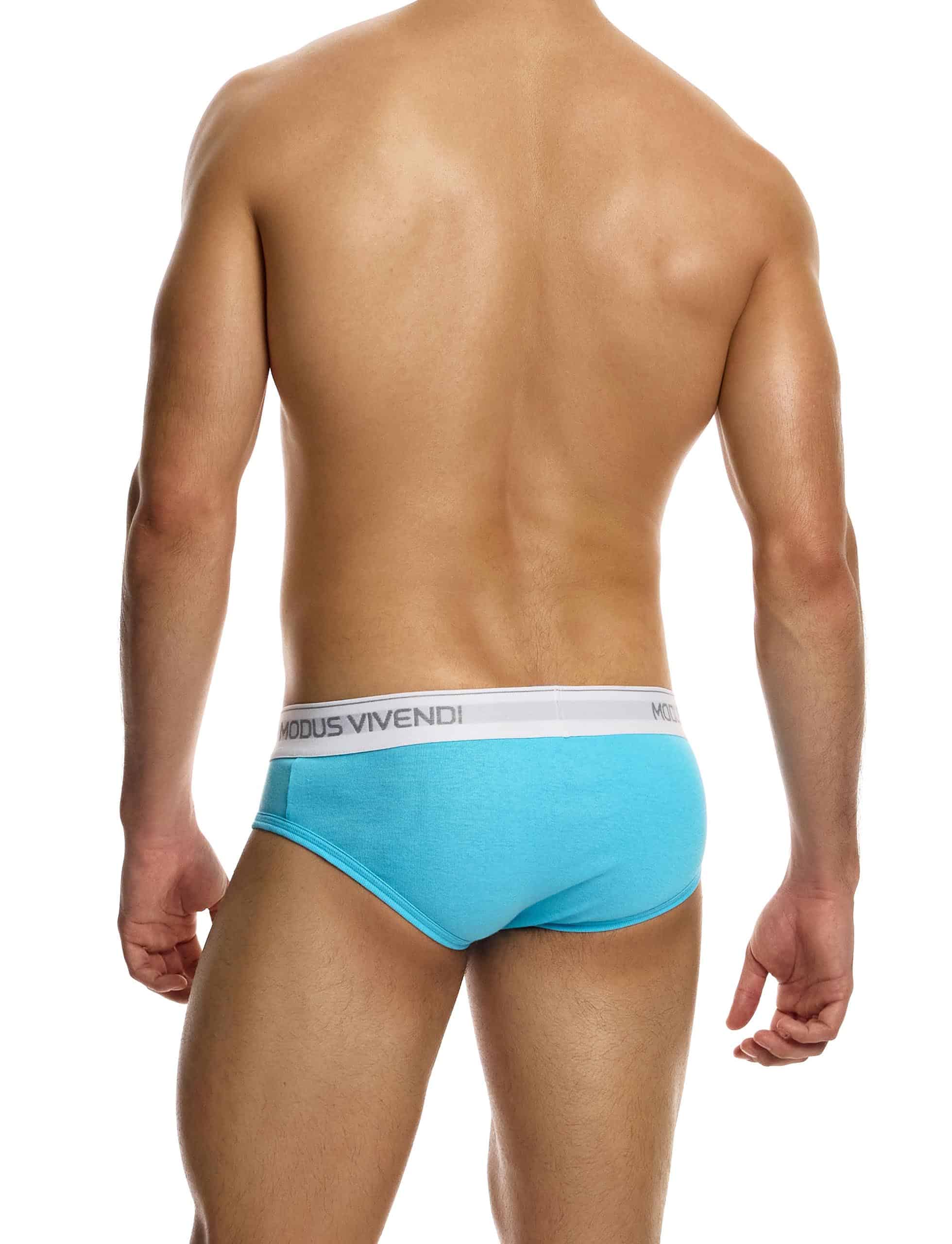 12411_aqua_staple_brief_modus_vivendi_underwear__3_