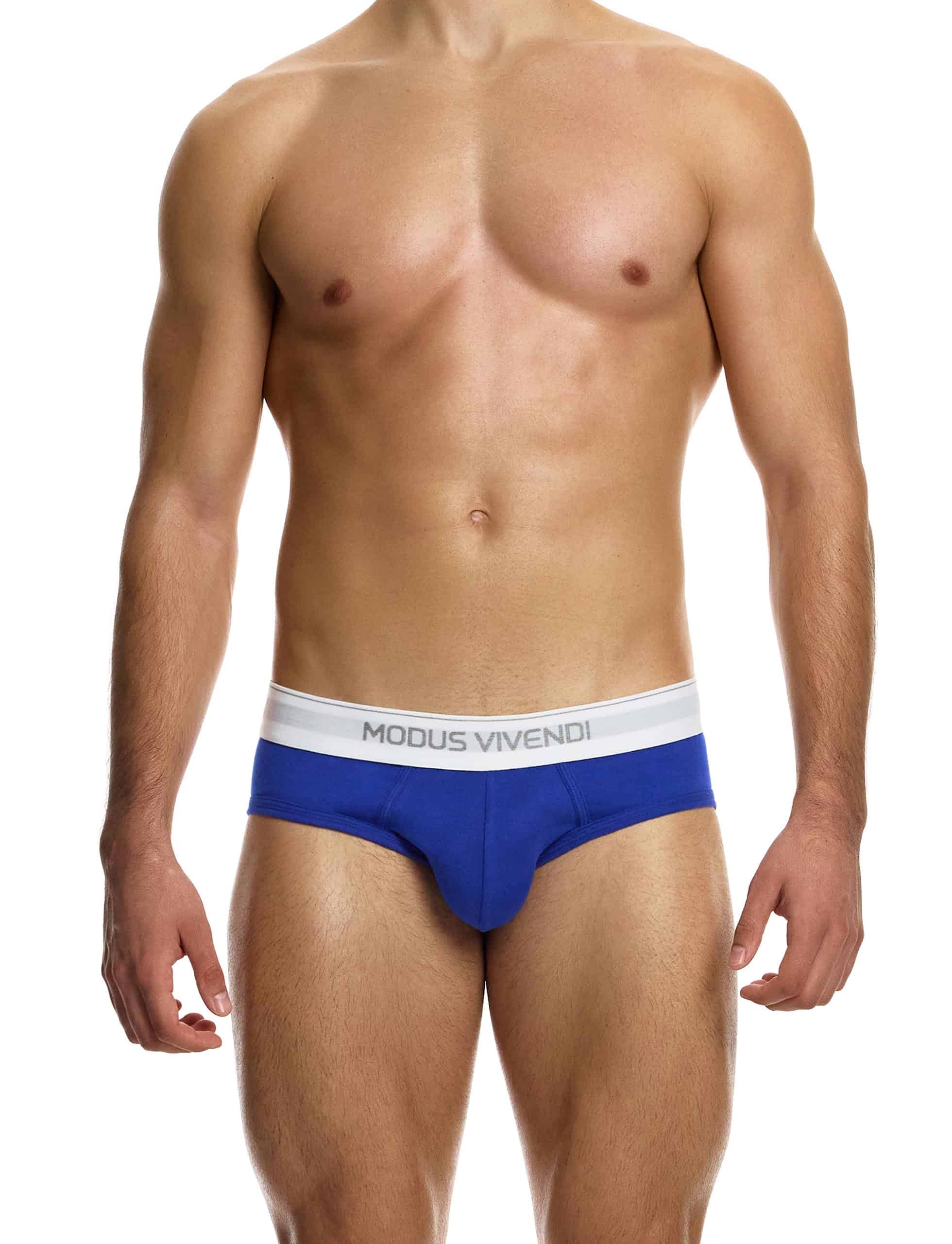 12411_blue_staple_brief_modus_vivendi_underwear__1_