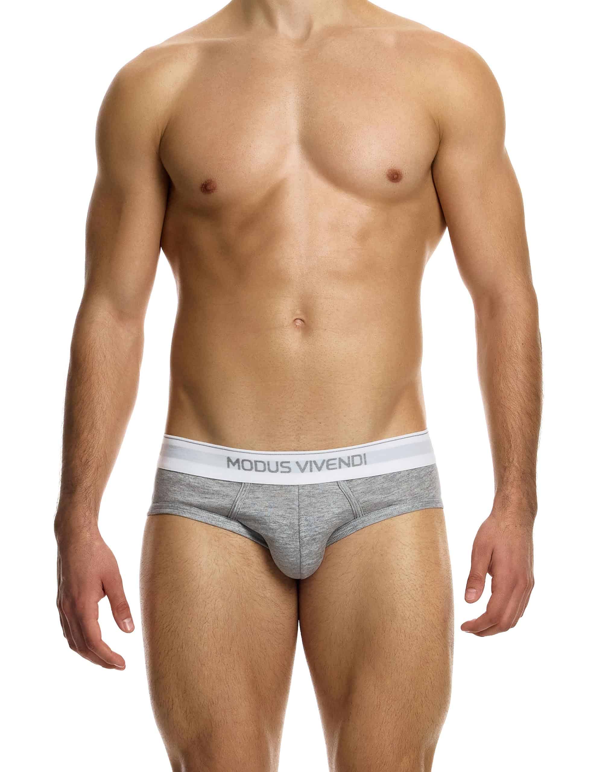 12411_grey_staple_brief_modus_vivendi_underwear__1__o89s-2o