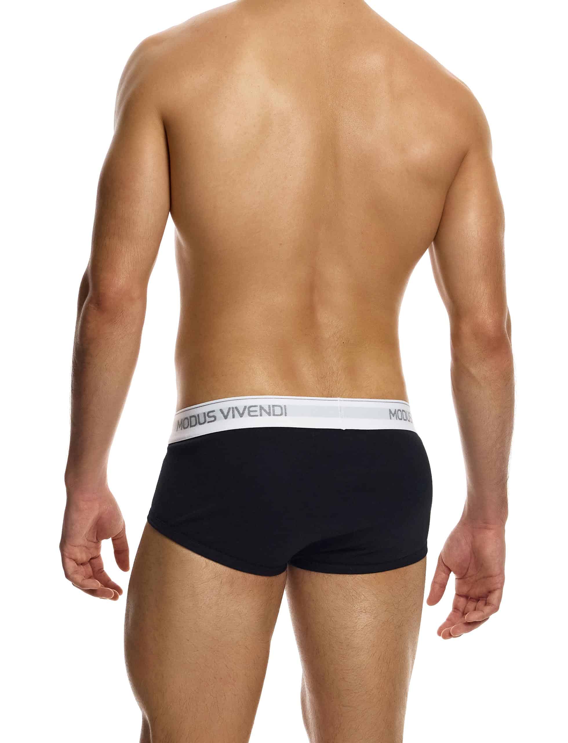12412_black_staple_fly_brief_modus_vivendi_underwear__3_