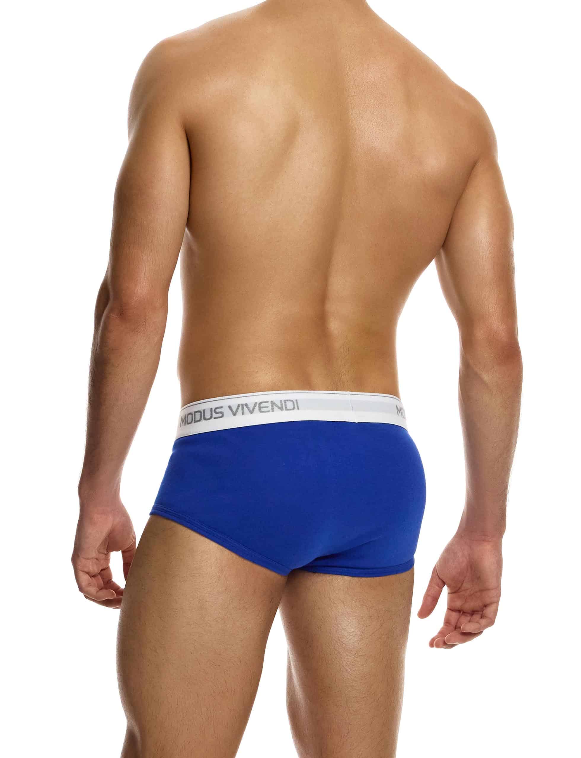 12412_blue_staple_fly_brief_modus_vivendi_underwear__3_