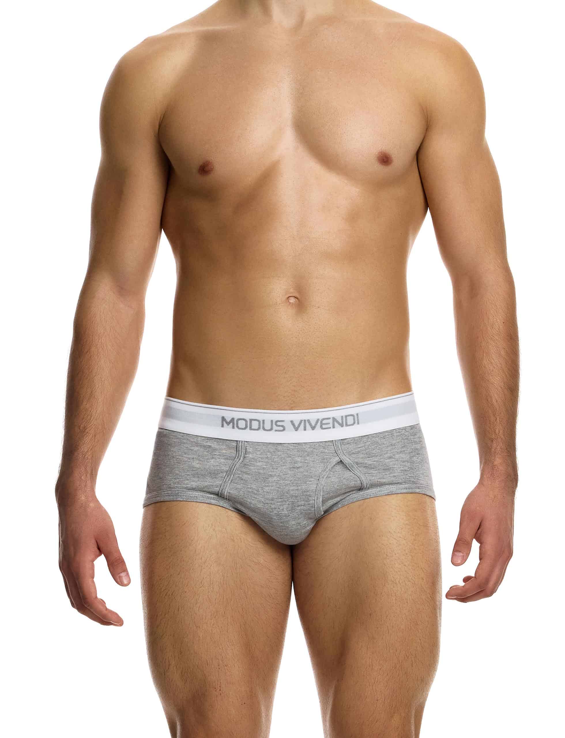 12412_grey_staple_fly_brief_modus_vivendi_underwear__1__ubdx-vf