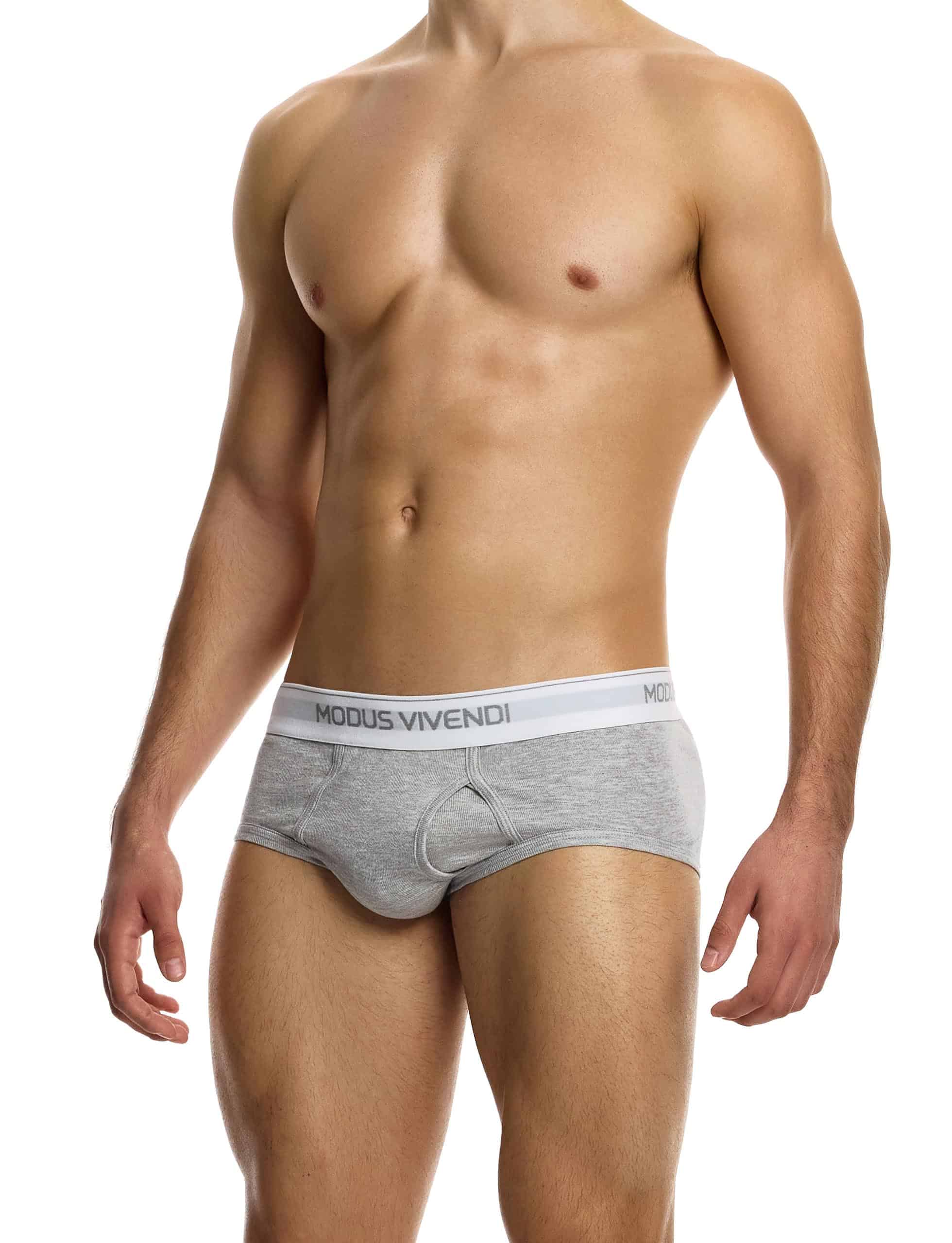 12412_grey_staple_fly_brief_modus_vivendi_underwear__2_