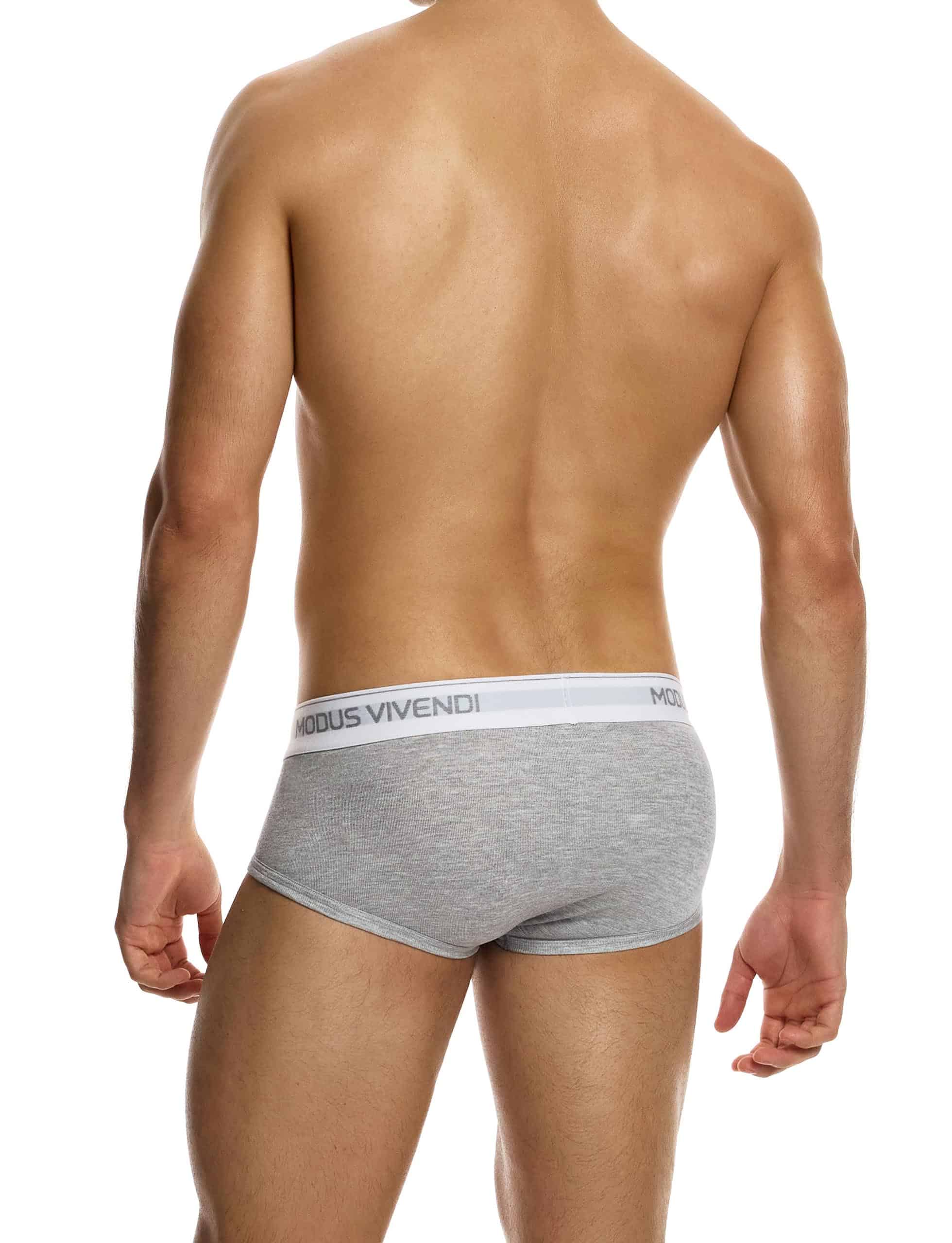 12412_grey_staple_fly_brief_modus_vivendi_underwear__3_