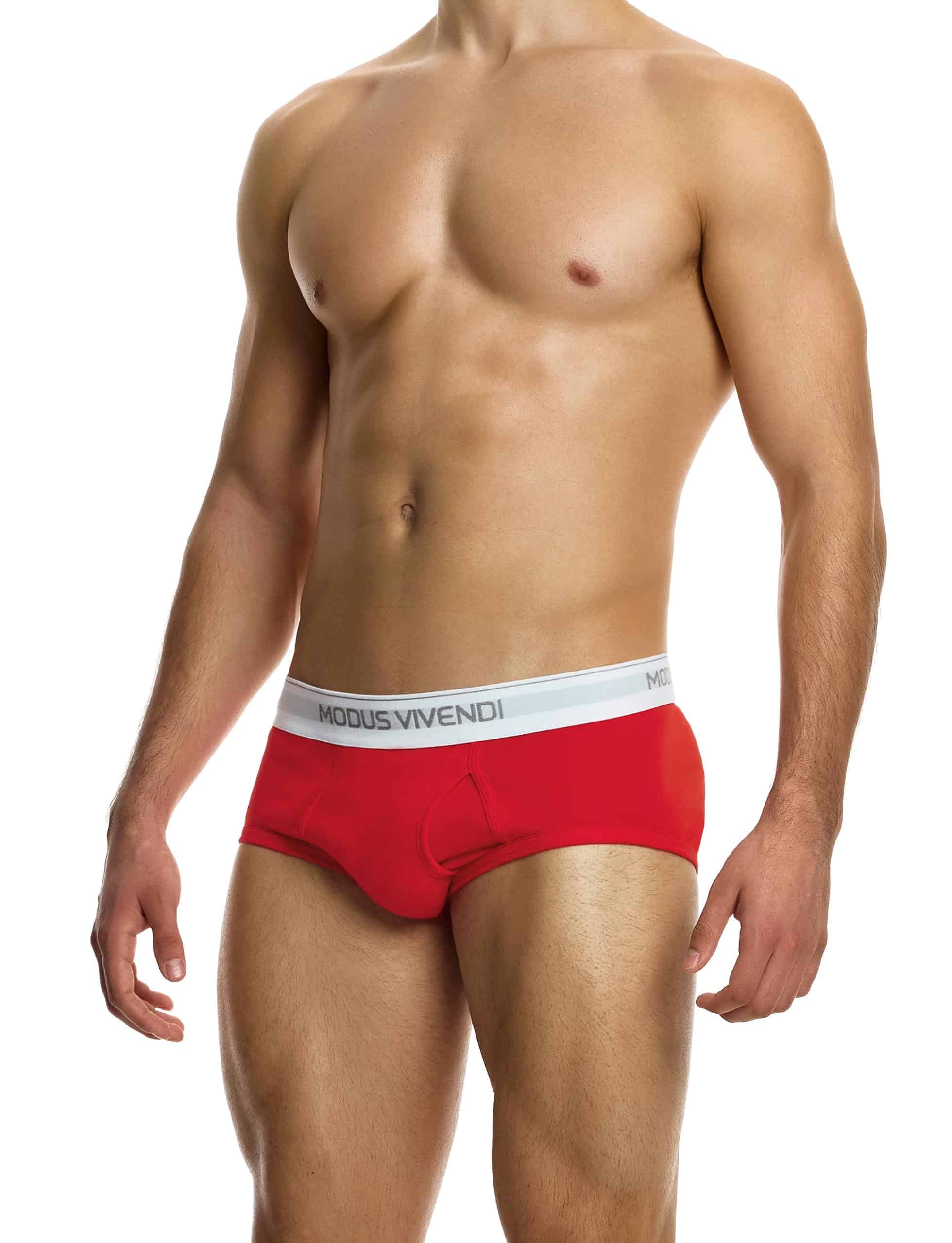 12412_red_staple_fly_brief_modus_vivendi_underwear__2_