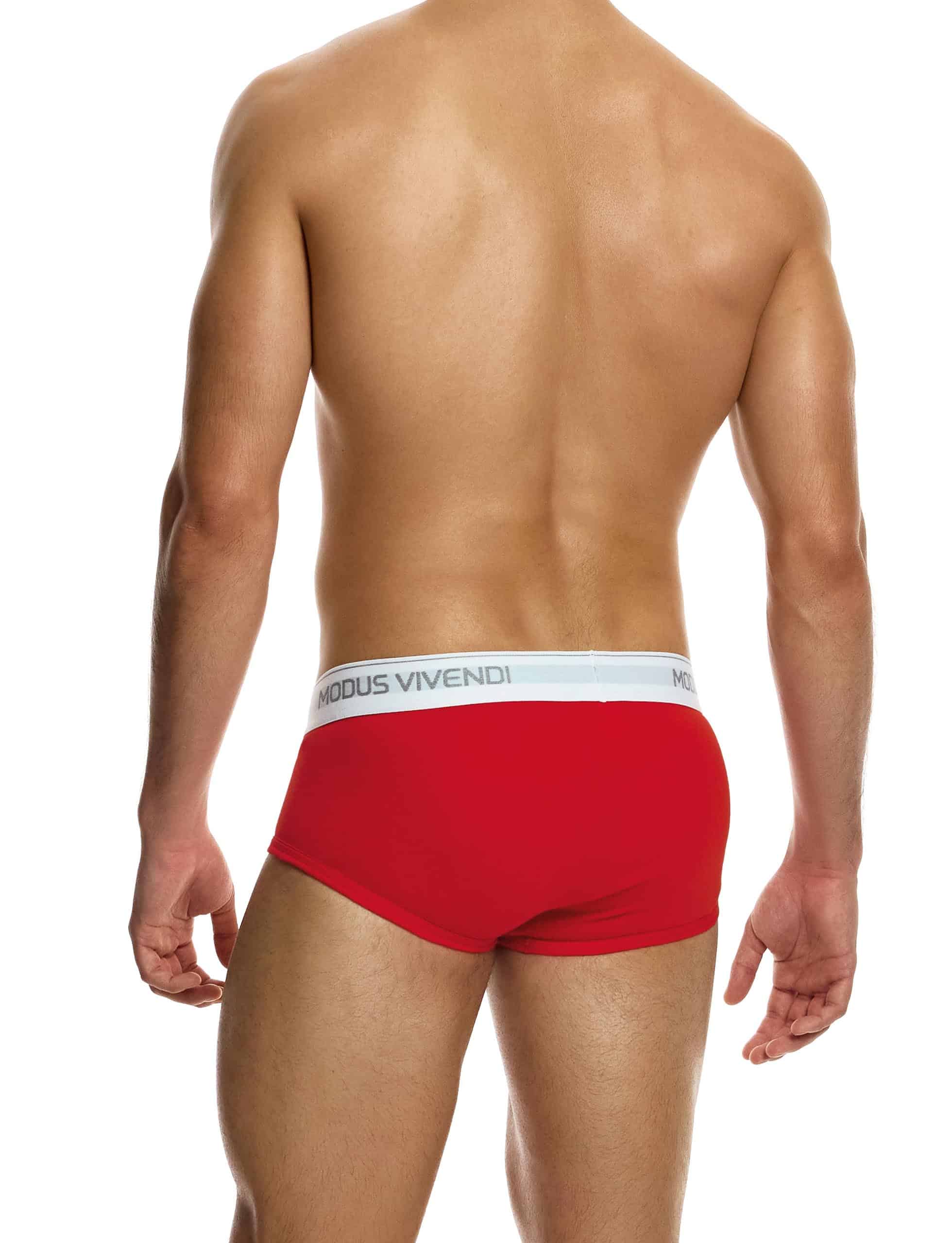 12412_red_staple_fly_brief_modus_vivendi_underwear__3_