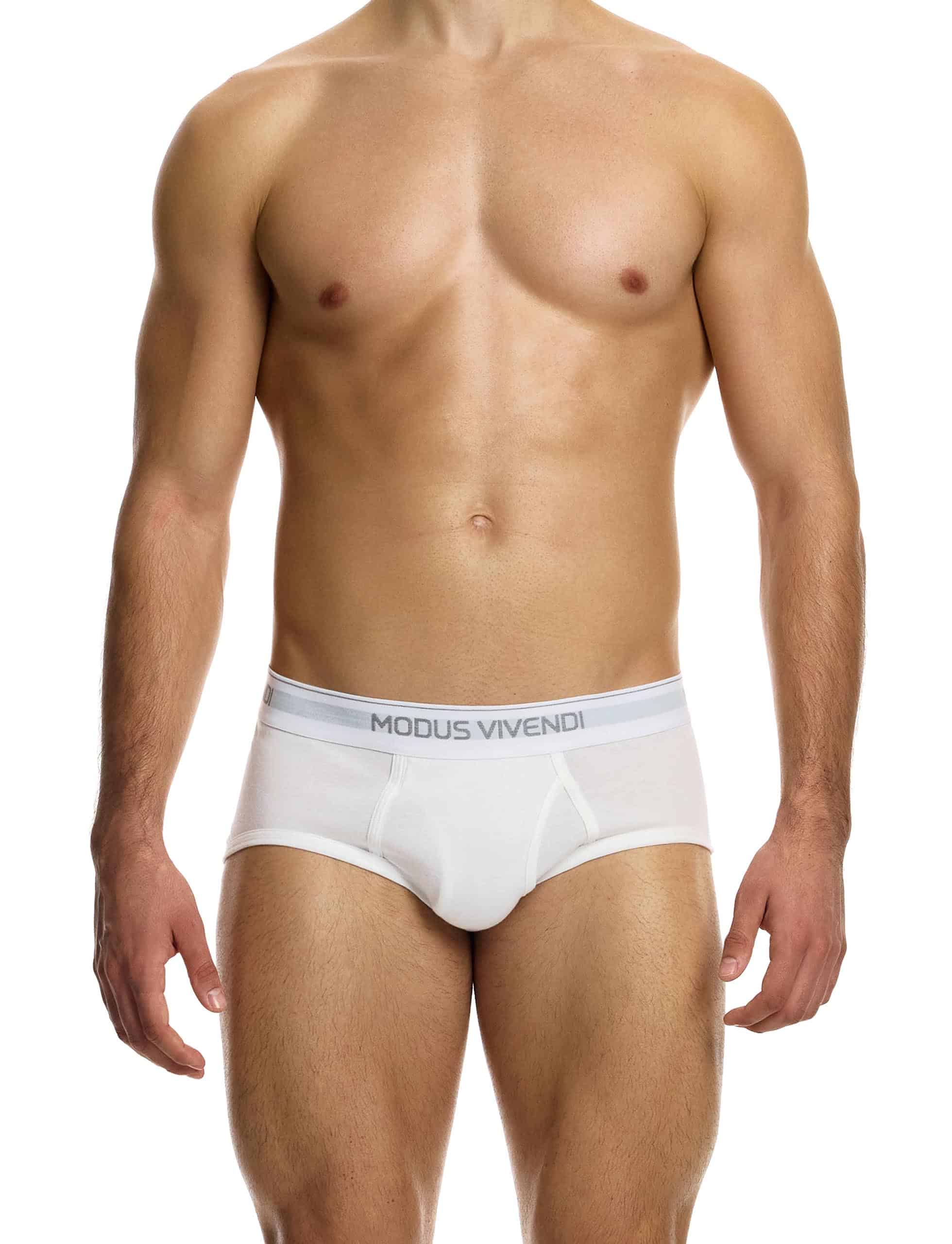 12412_white_staple_fly_brief_modus_vivendi_underwear__1_