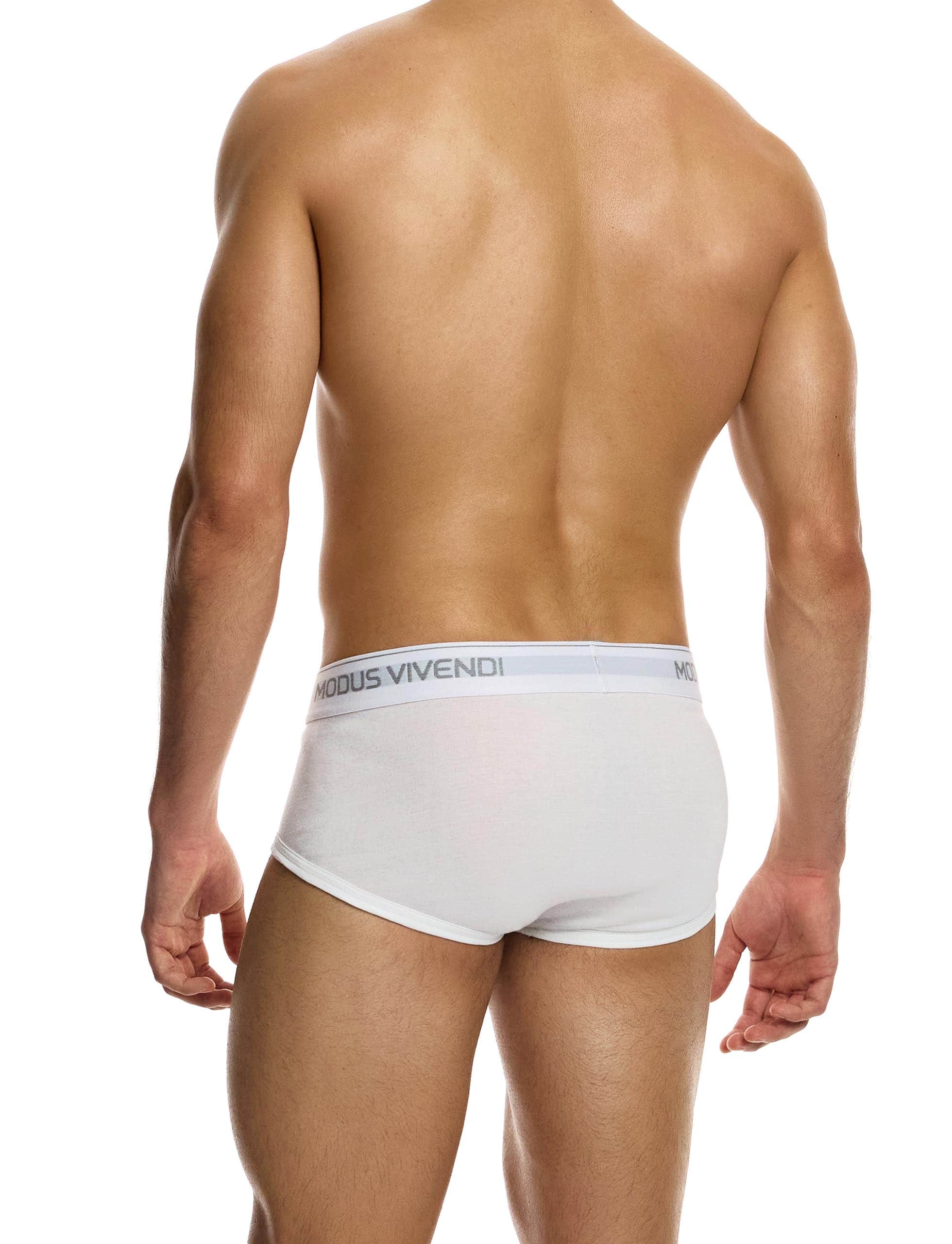 12412_white_staple_fly_brief_modus_vivendi_underwear__3_