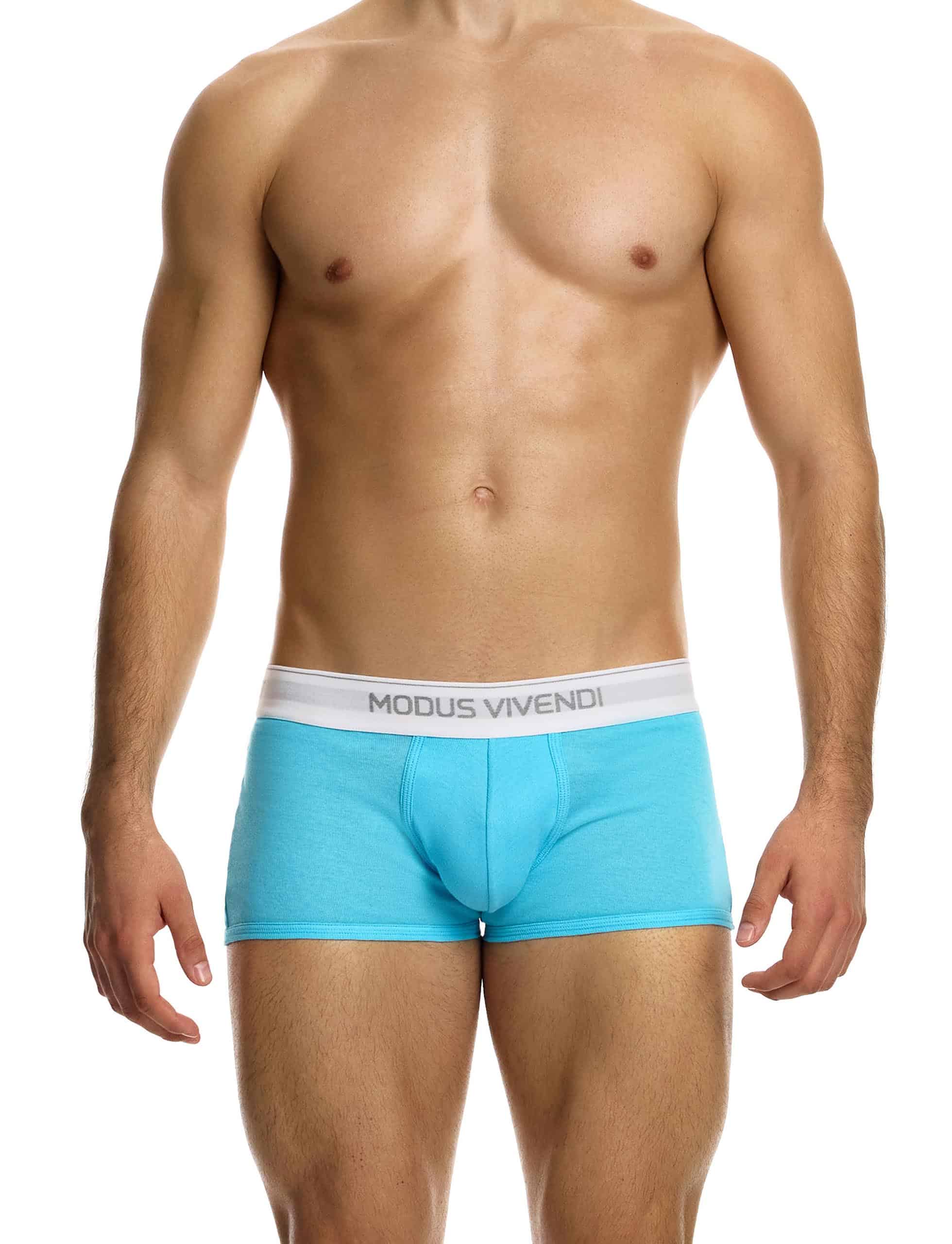 12421_aqua_staple_boxer_modus_vivendi_underwear__1_