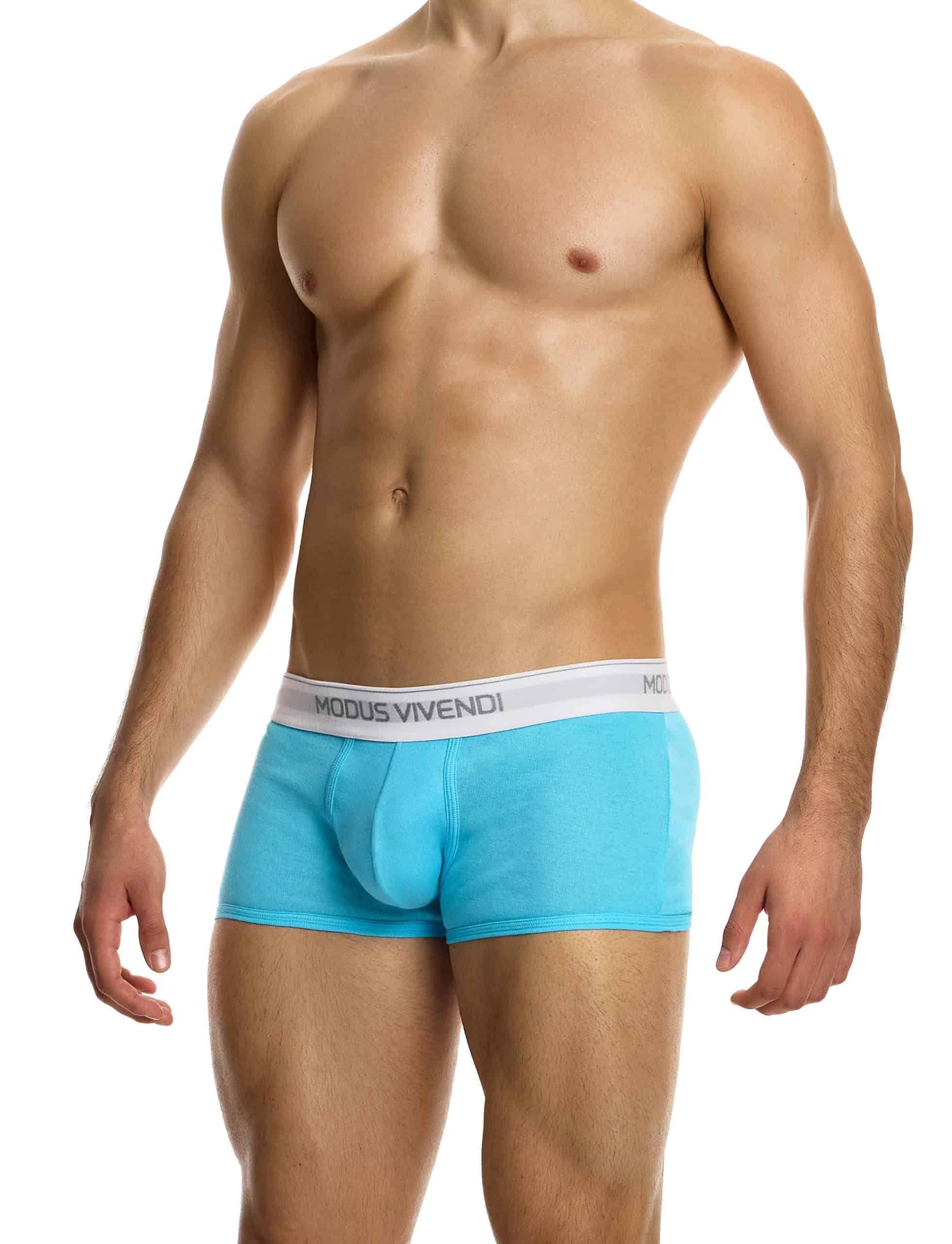 12421_aqua_staple_boxer_modus_vivendi_underwear__2_