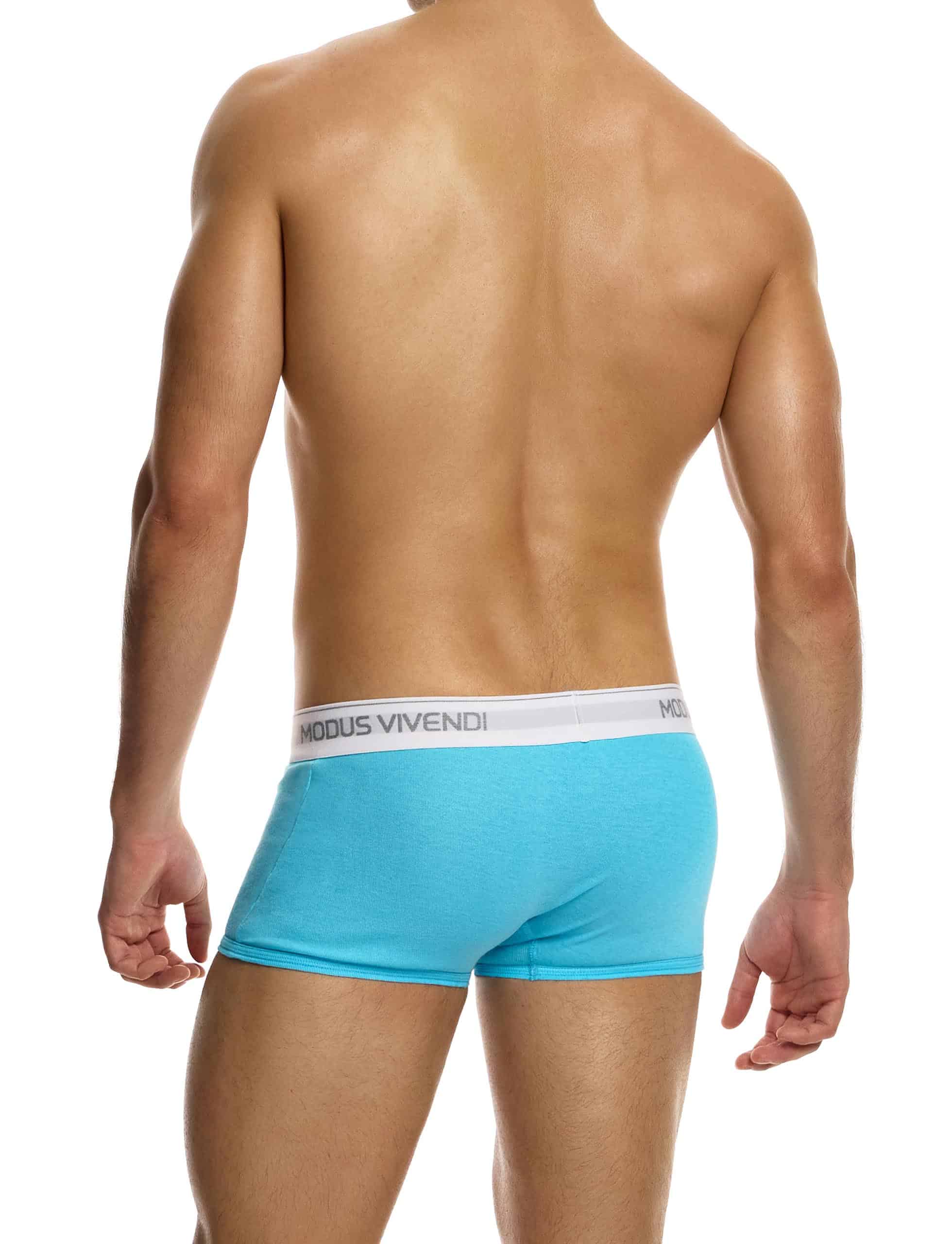12421_aqua_staple_boxer_modus_vivendi_underwear__3_