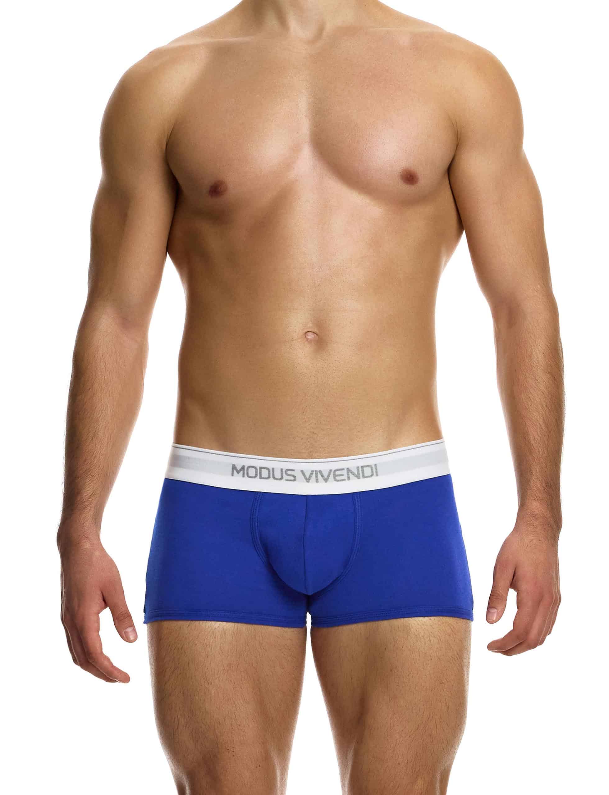12421_blue_staple_boxer_modus_vivendi_underwear__1_