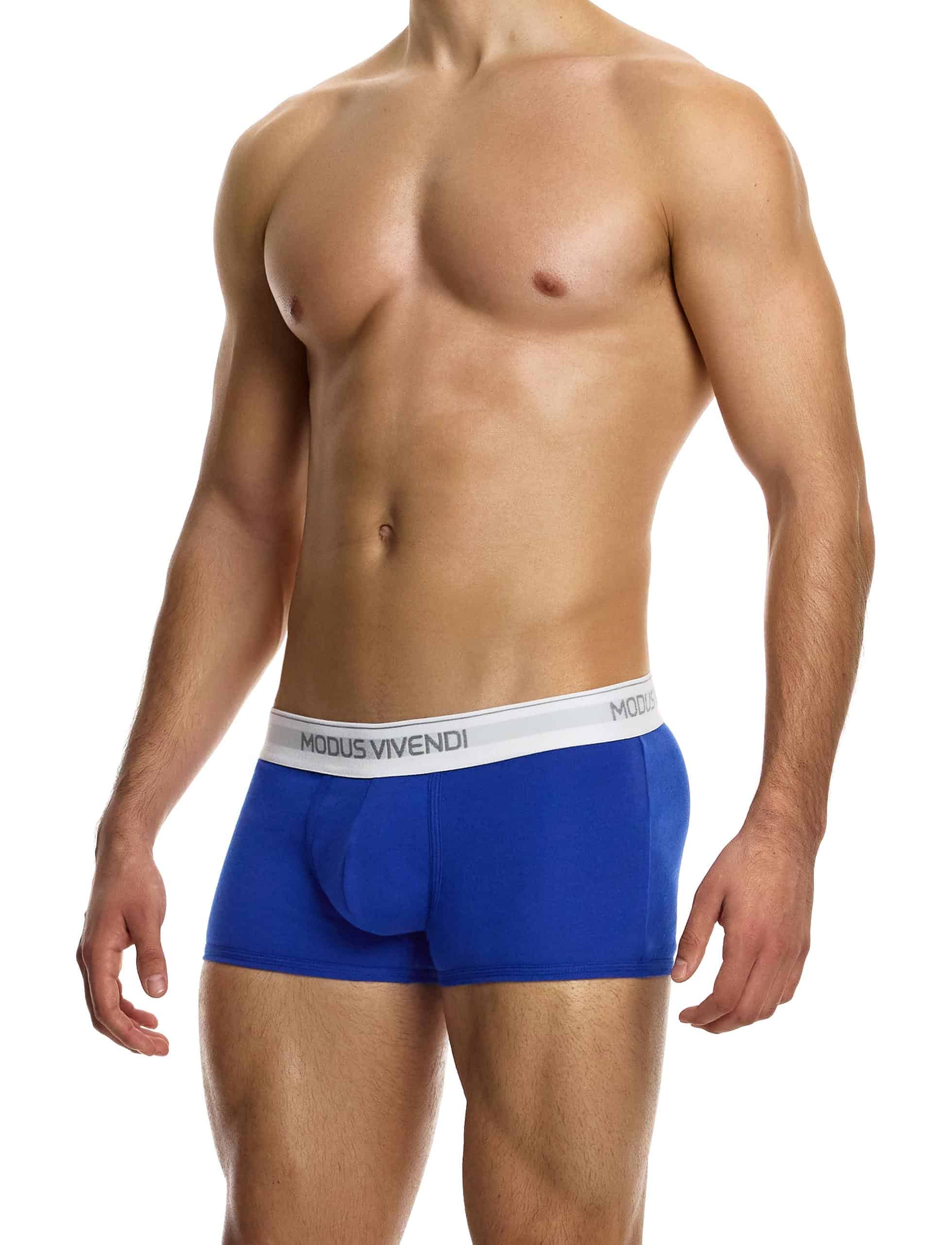 12421_blue_staple_boxer_modus_vivendi_underwear__2_