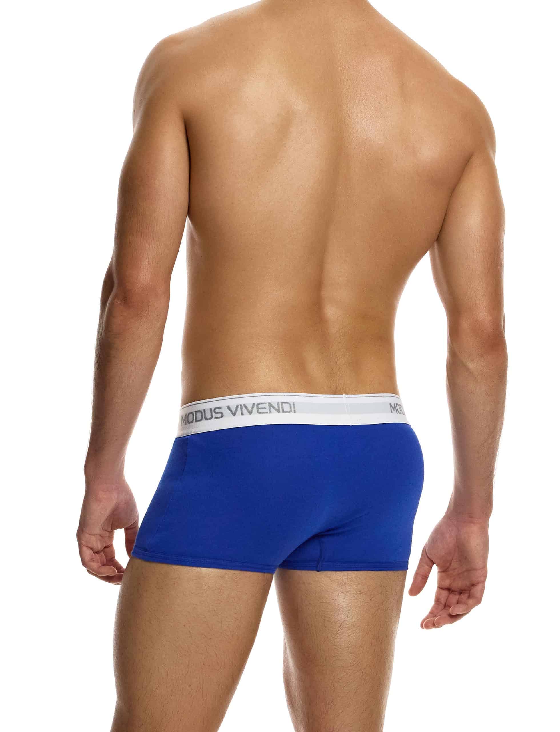 12421_blue_staple_boxer_modus_vivendi_underwear__3_