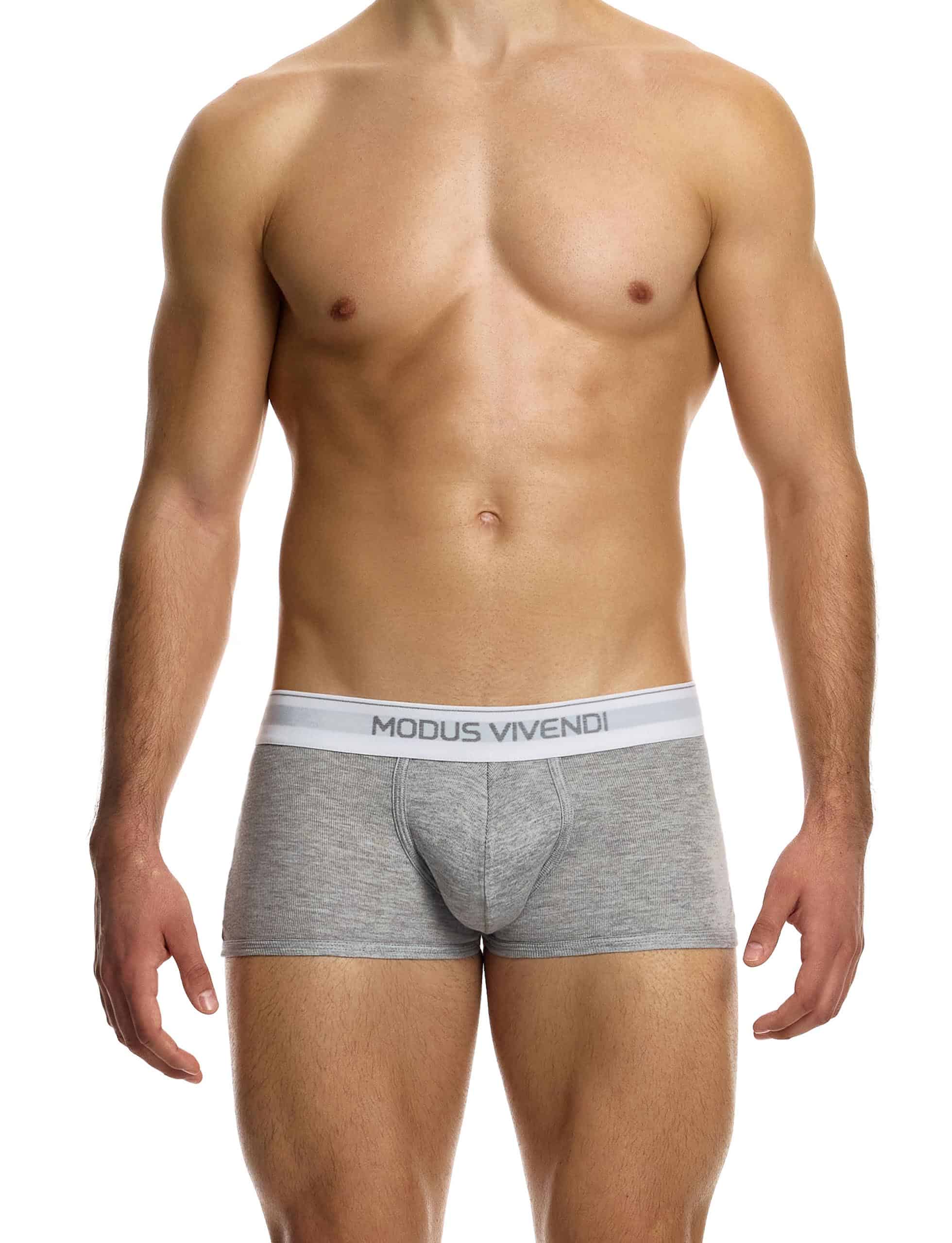 12421_grey_staple_boxer_modus_vivendi_underwear__1_