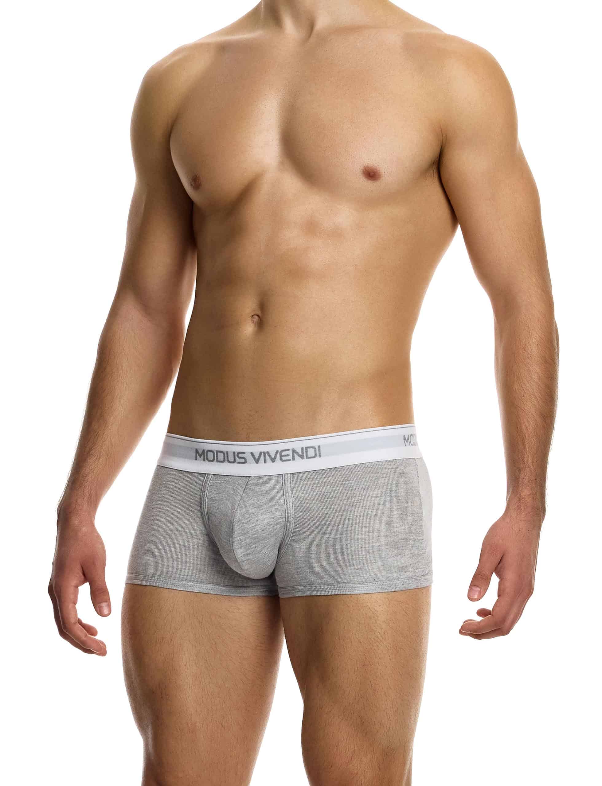 12421_grey_staple_boxer_modus_vivendi_underwear__2_