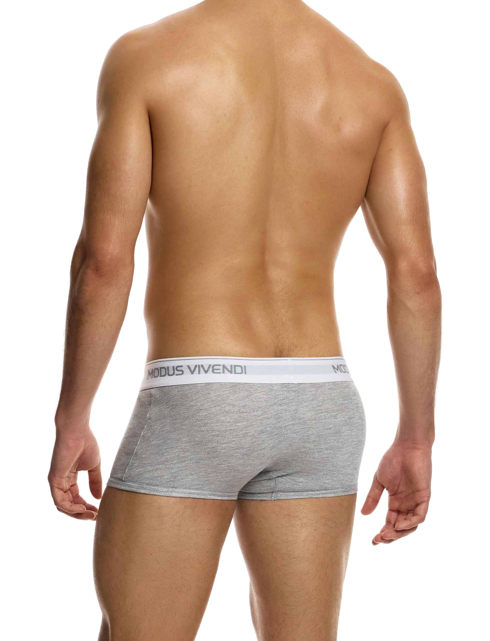 12421_grey_staple_boxer_modus_vivendi_underwear__3_