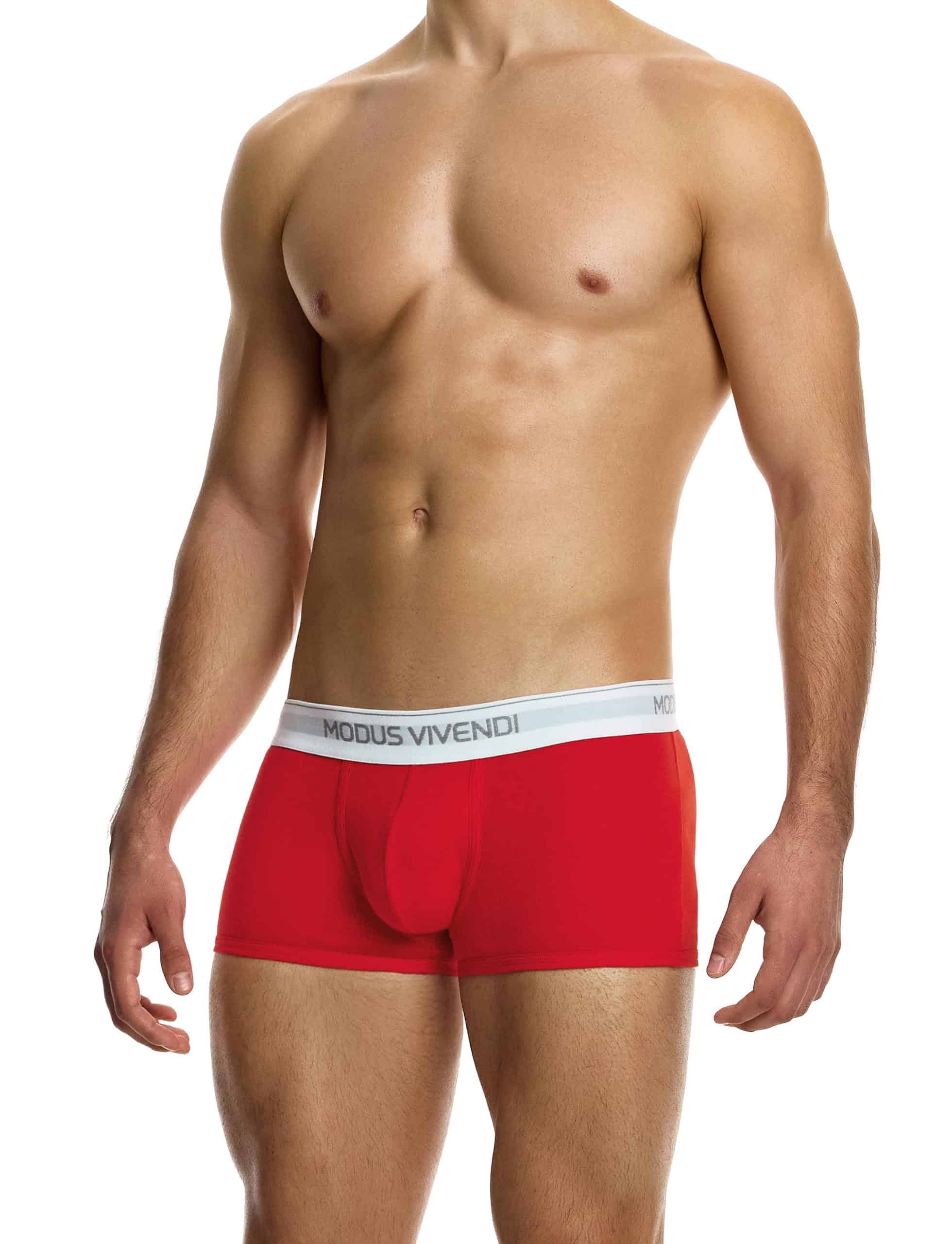 12421_red_staple_boxer_modus_vivendi_underwear__2__r5u1-6y