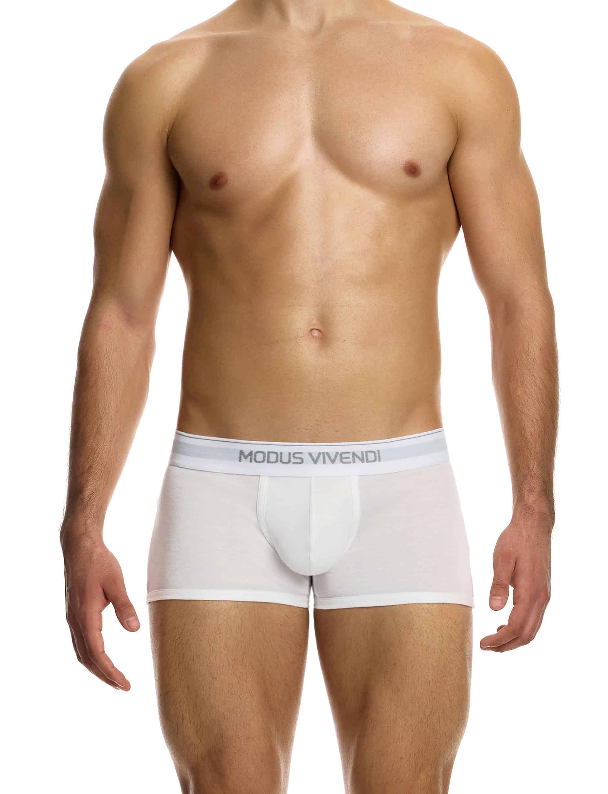 12421_white_staple_boxer_modus_vivendi_underwear__1__ivk9-w9