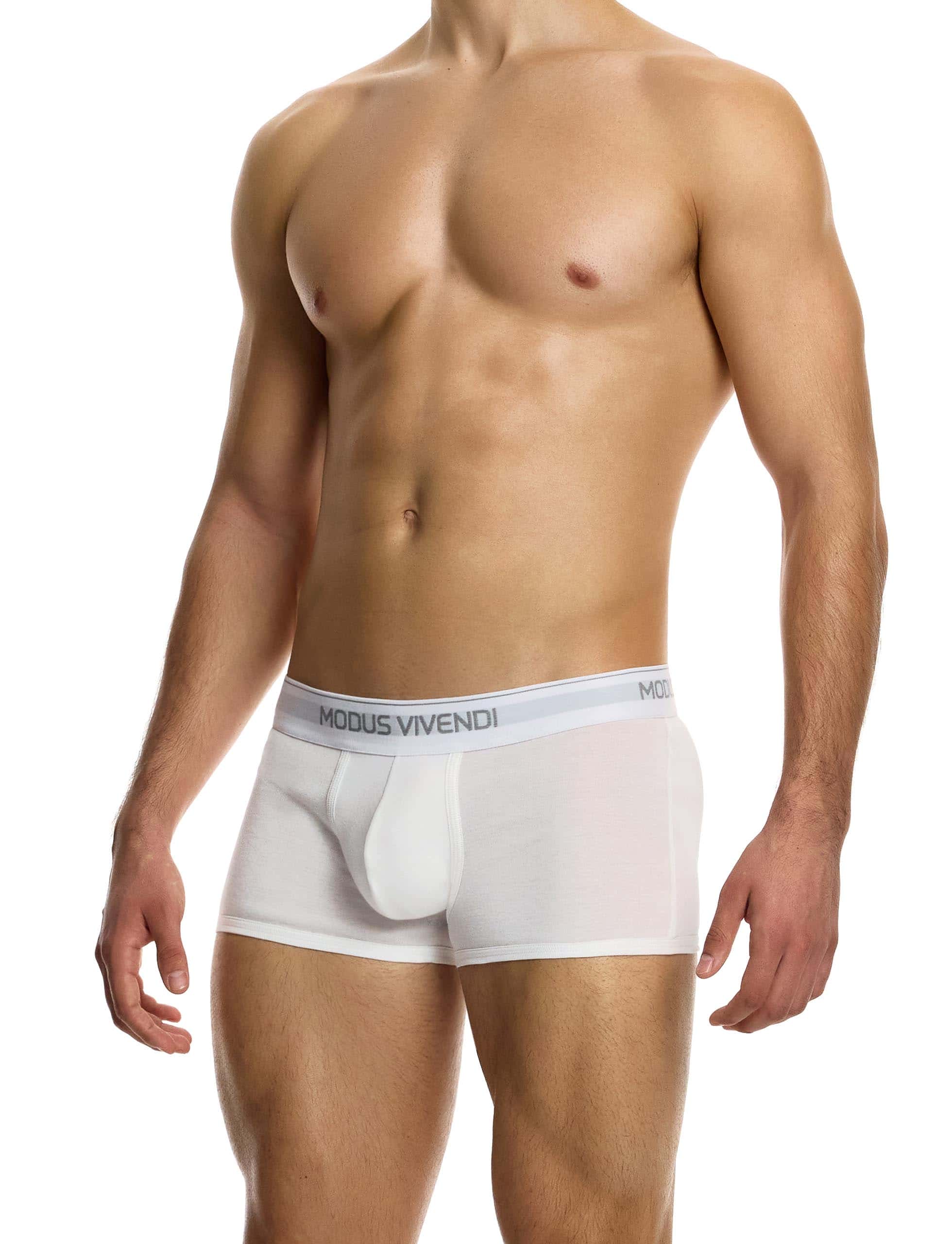 12421_white_staple_boxer_modus_vivendi_underwear__2_