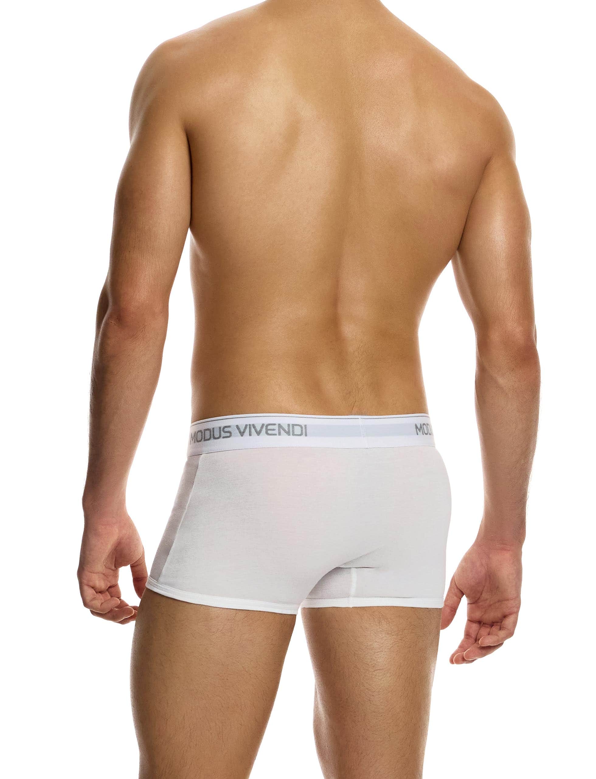 12421_white_staple_boxer_modus_vivendi_underwear__3_