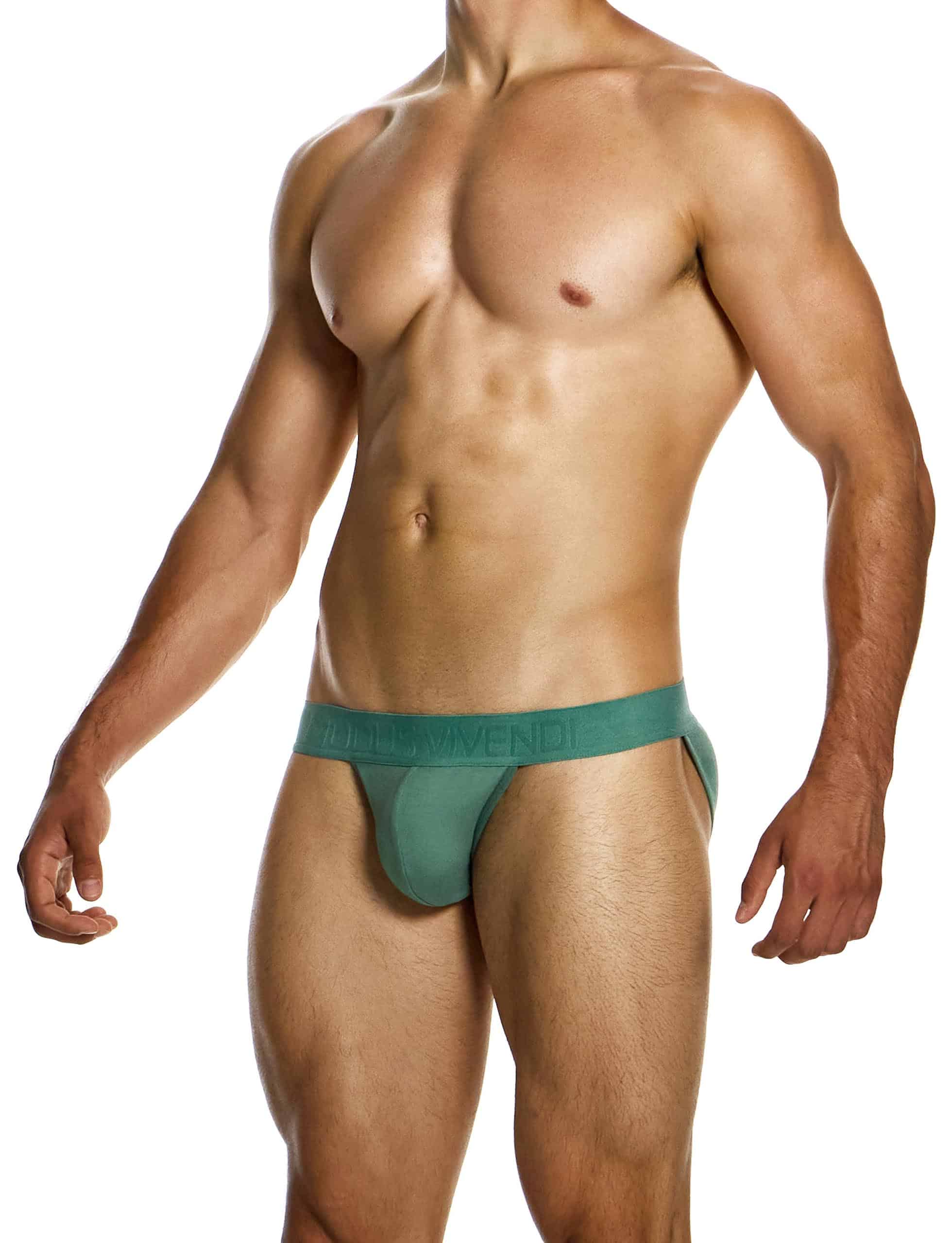 13413_khaki_tanga_brief_bamboo_modusvivendi_underwear__2_