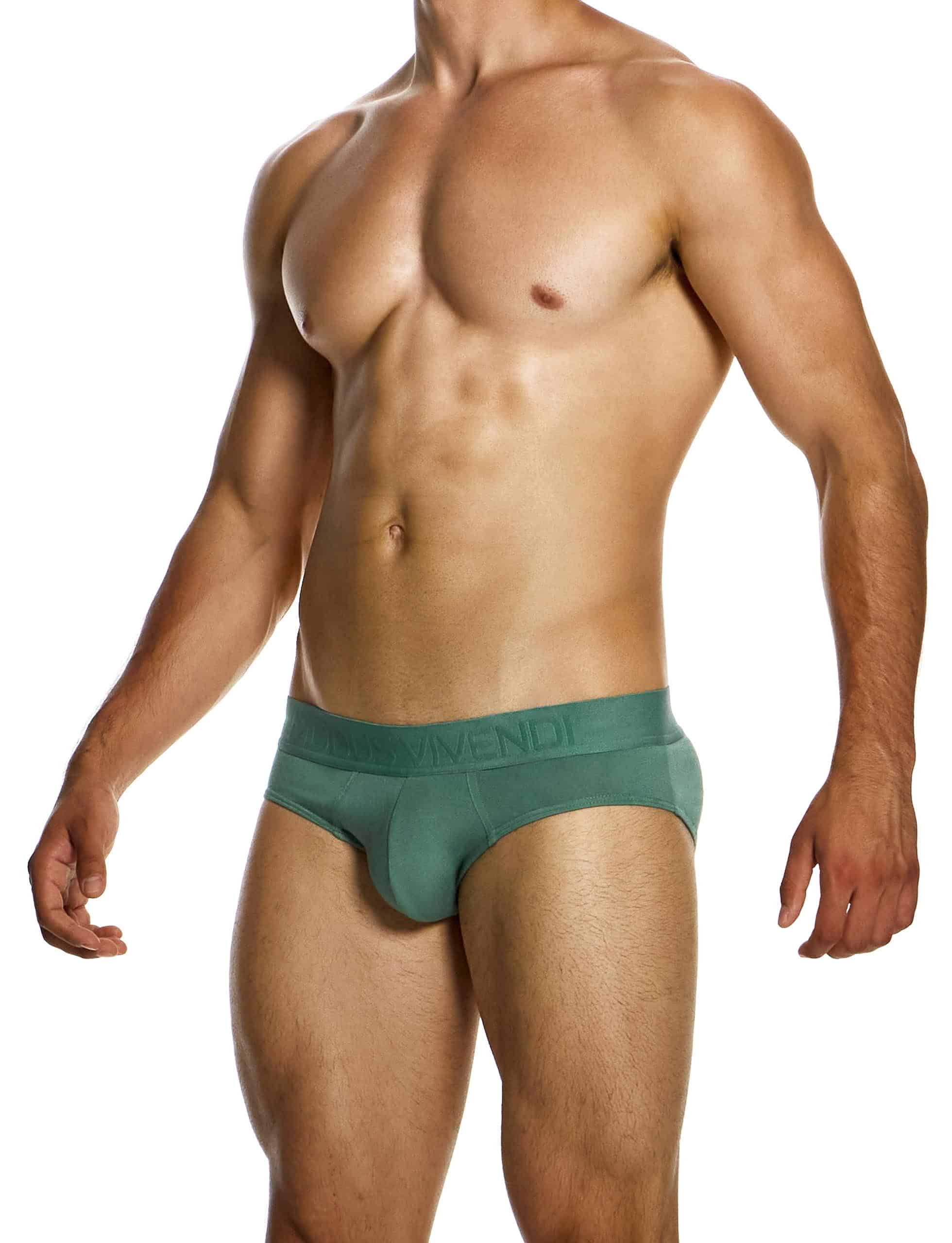 13415_khaki_classic_brief_bamboo_modusvivendi_underwear__2_