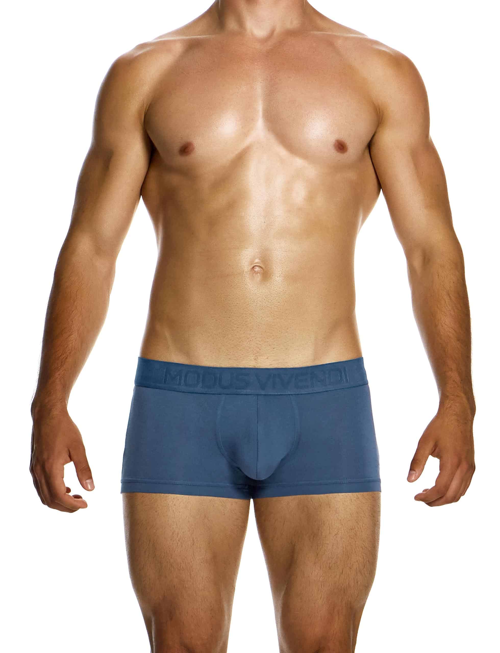 13422_indigo_boxer_bamboo_modusvivendi_underwear__1__phao-a5