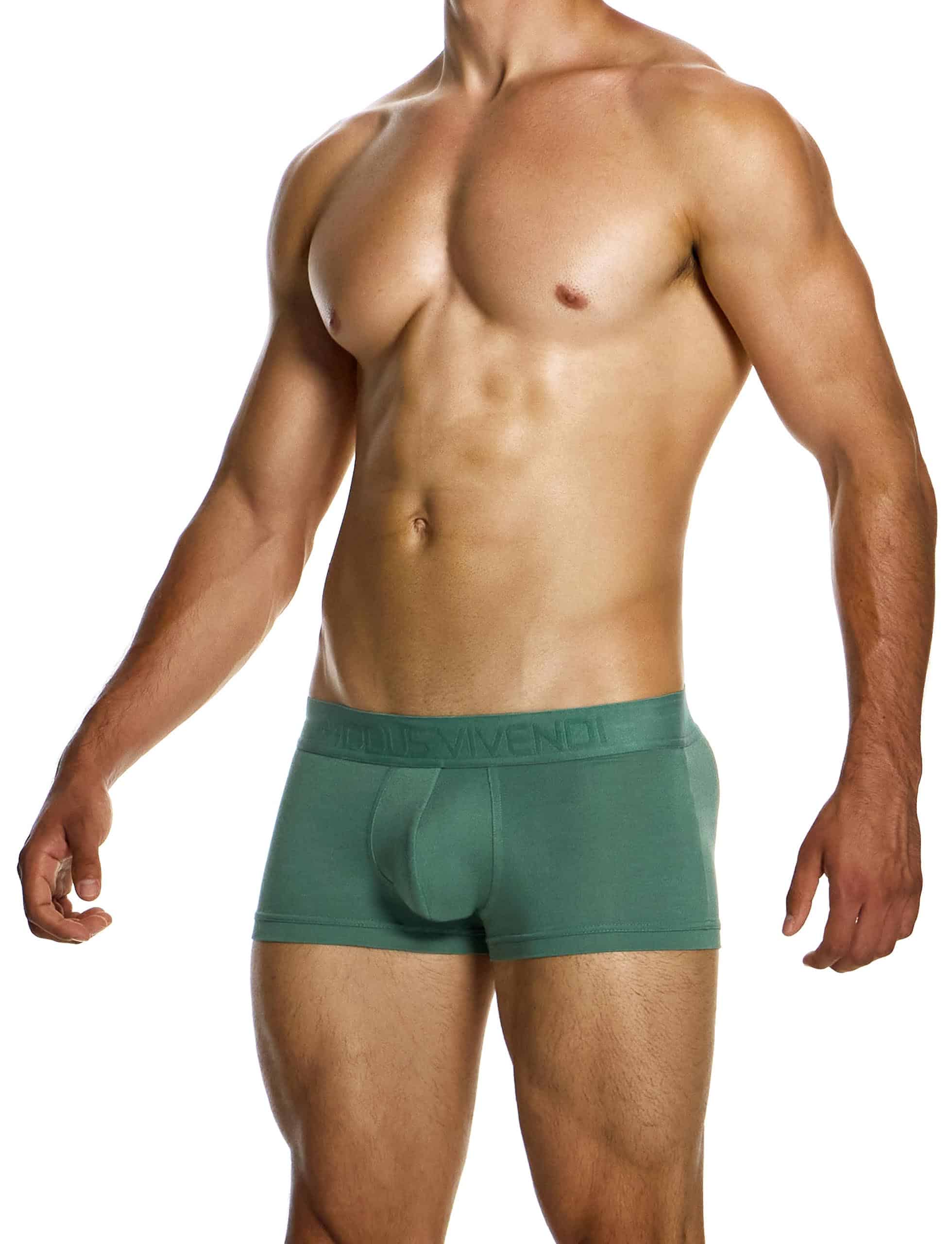 13422_khaki_boxer_bamboo_modusvivendi_underwear__2_
