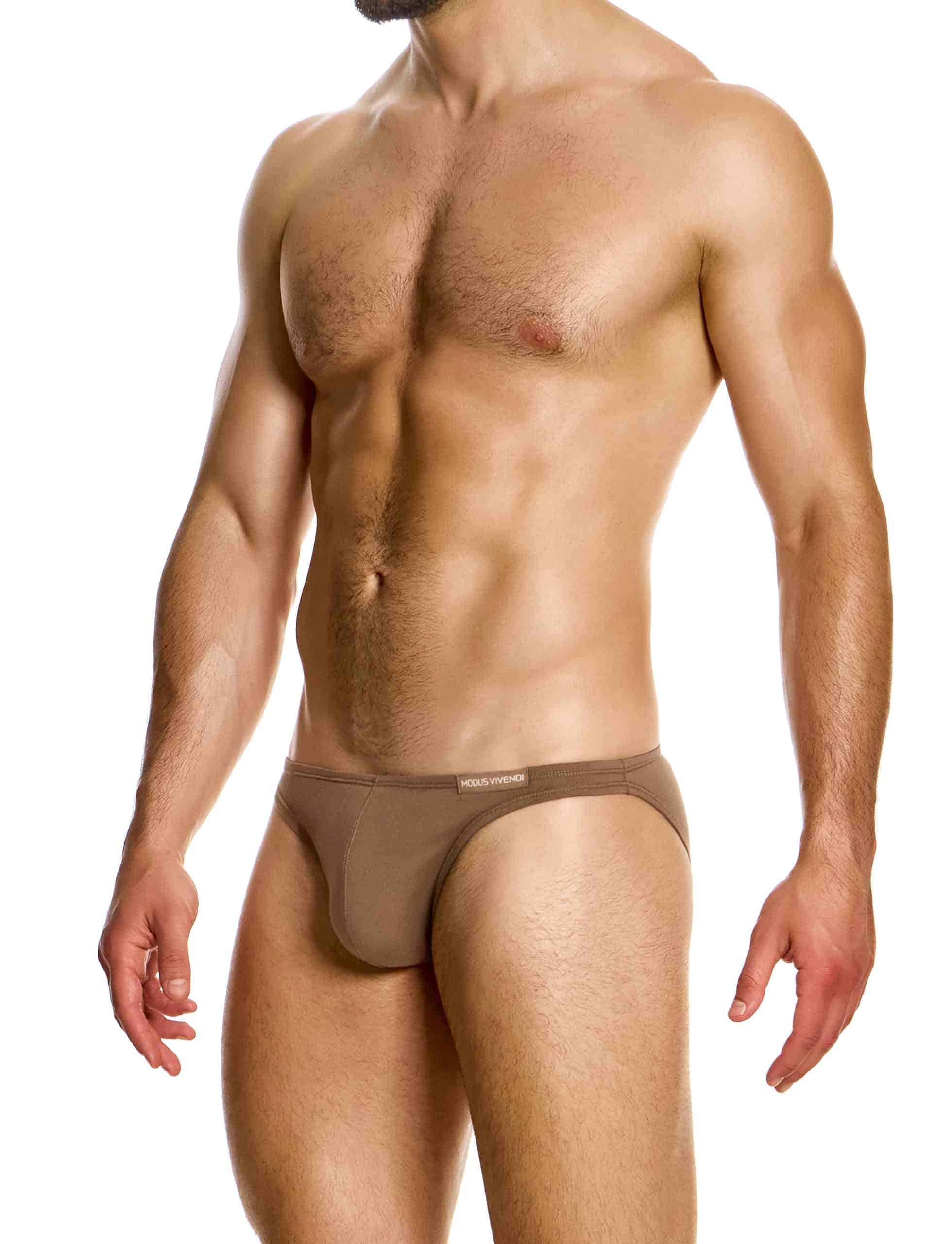 15611_dark_skin_low_cut_brief_antibacterial_modus_vivendi_underwear__2_