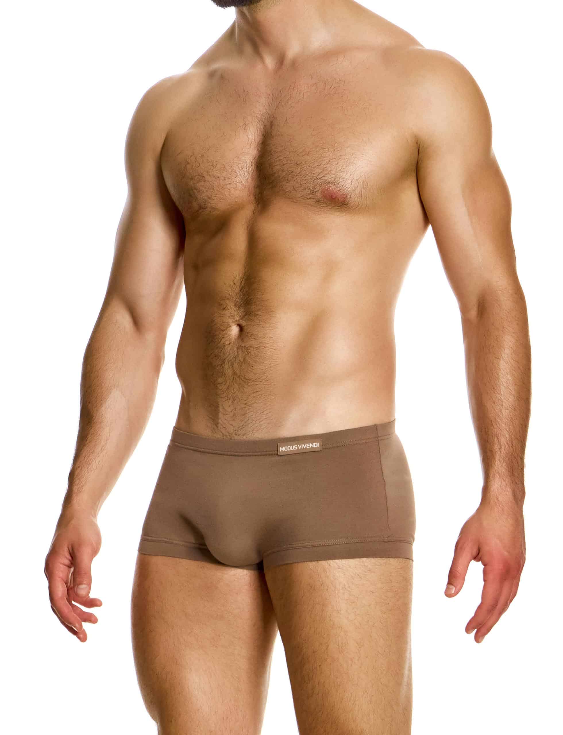 15621_dark_skin_brazil_cut_boxer_antibacterial_modus_vivendi_underwear__2_