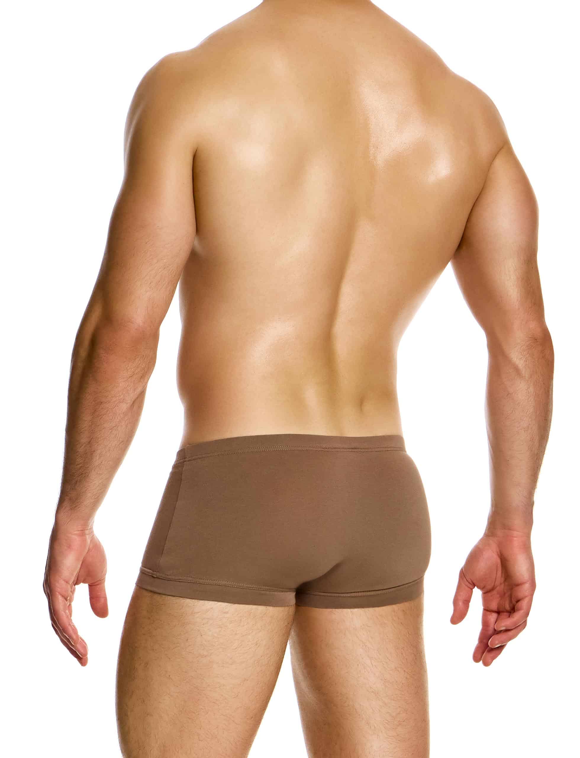 15621_dark_skin_brazil_cut_boxer_antibacterial_modus_vivendi_underwear__3_