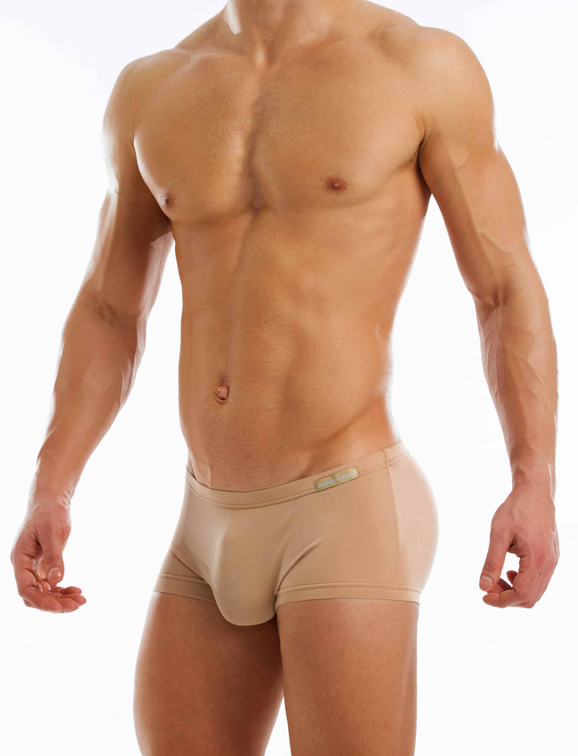 15621_skin_antibacterial_brazil_cut_boxer_modus_vivendi_underwear__1_